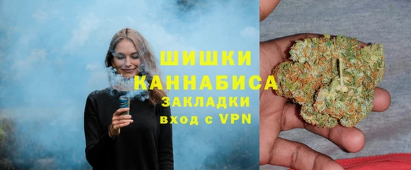 гидропоника Иннополис