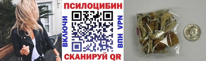 Псилоцибиновые грибы MAGIC MUSHROOMS  где продают   Буинск 